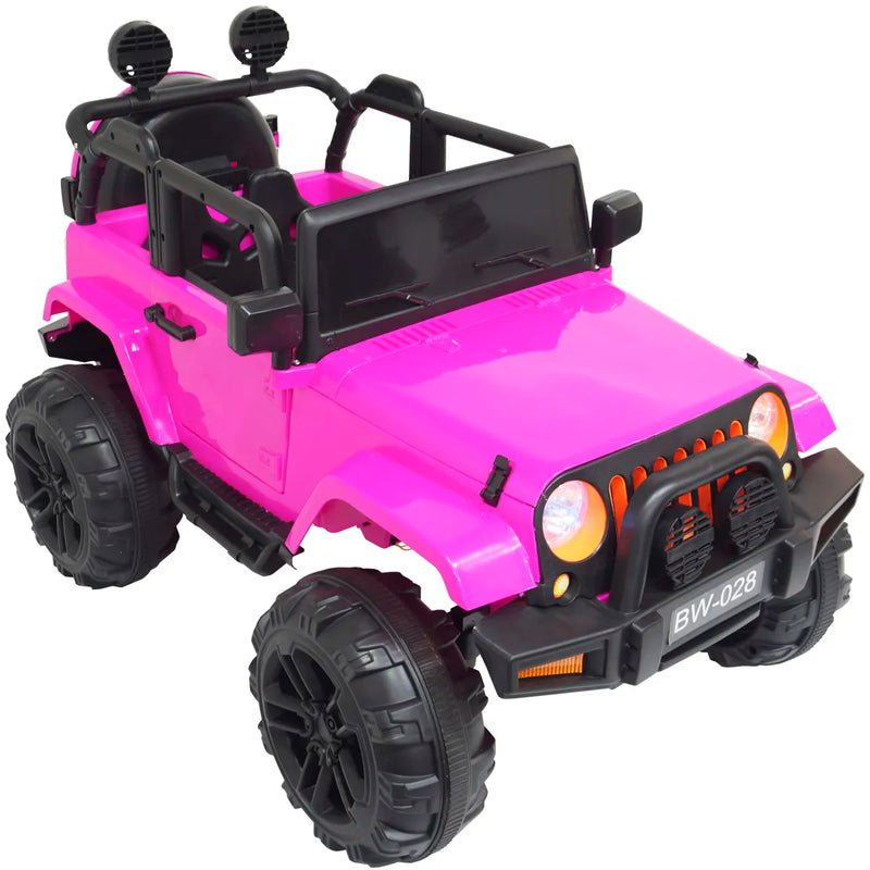 Carros Eletrico